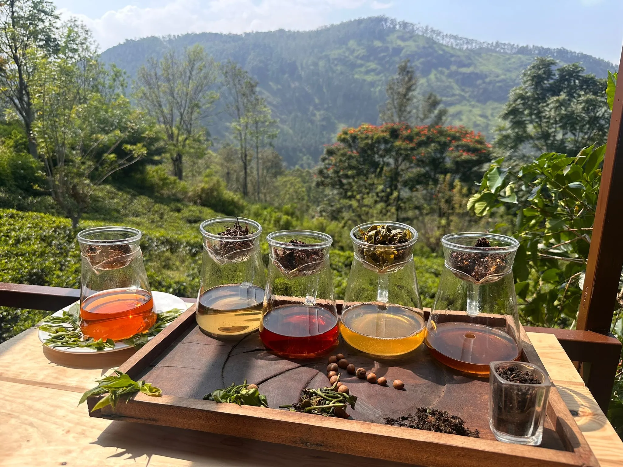 Moments from the Estate gallery 2