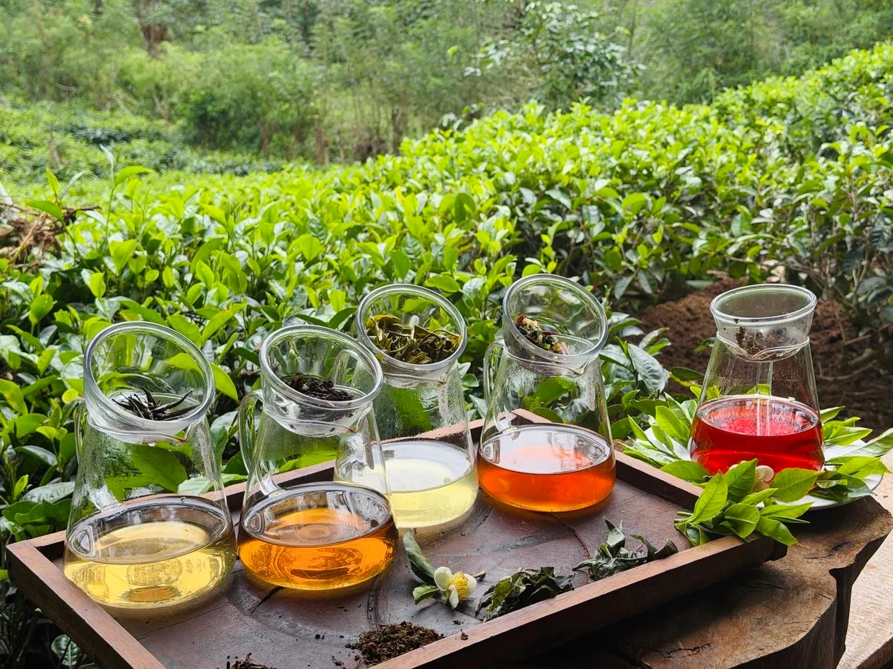 Moments from the Estate gallery 3