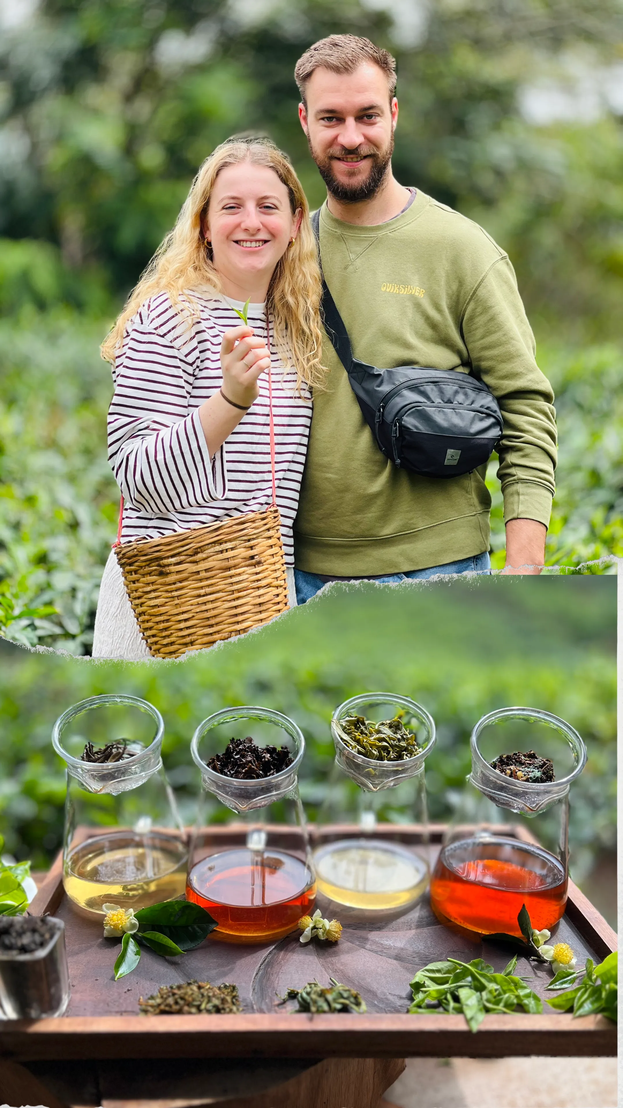 Tea-Making Experience Tour with Tasting & Snacks - Photo 2
