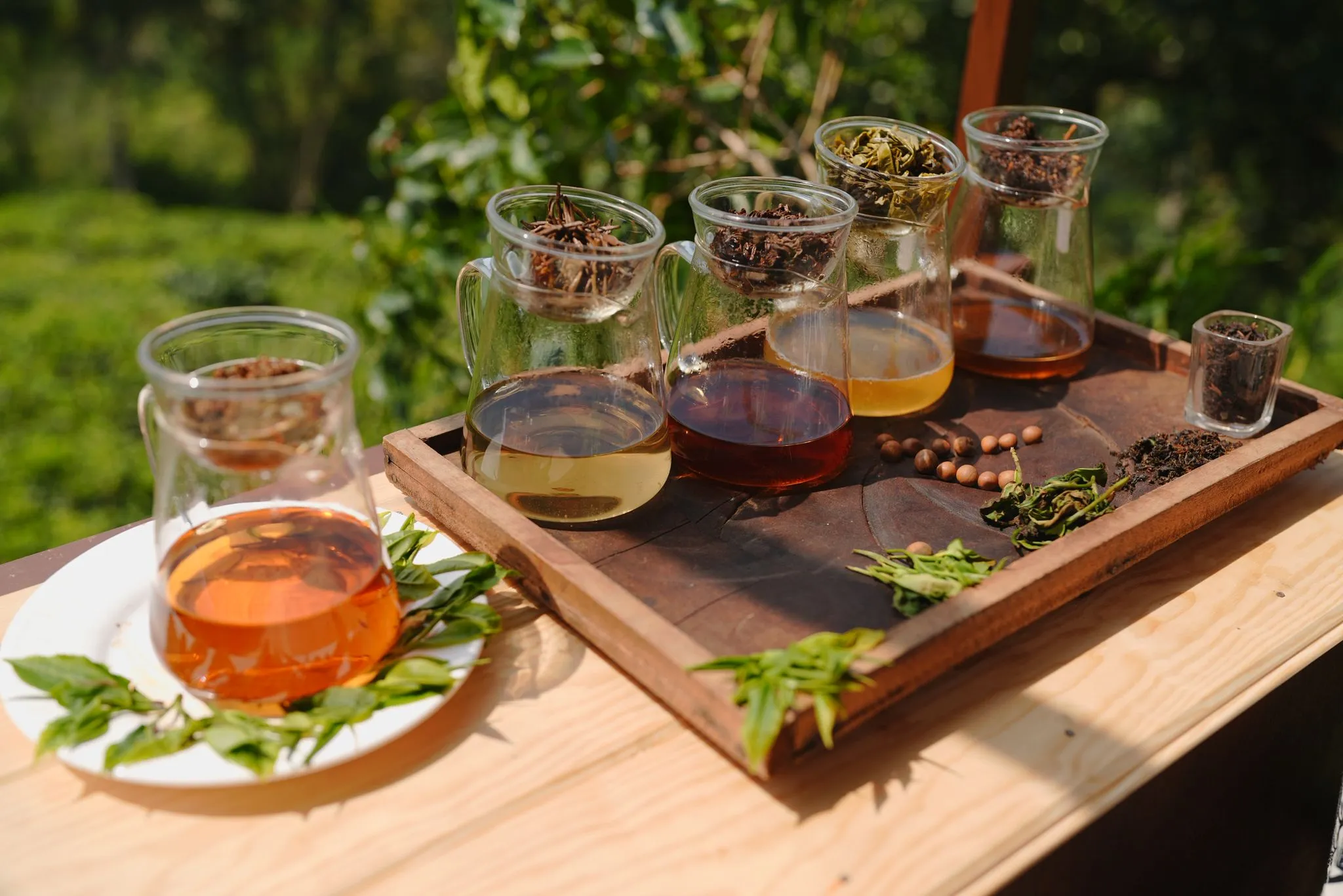 Moments from the Estate gallery 5